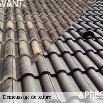 Demoussage de toiture 94 Val-de-Marne Artisan Van Been